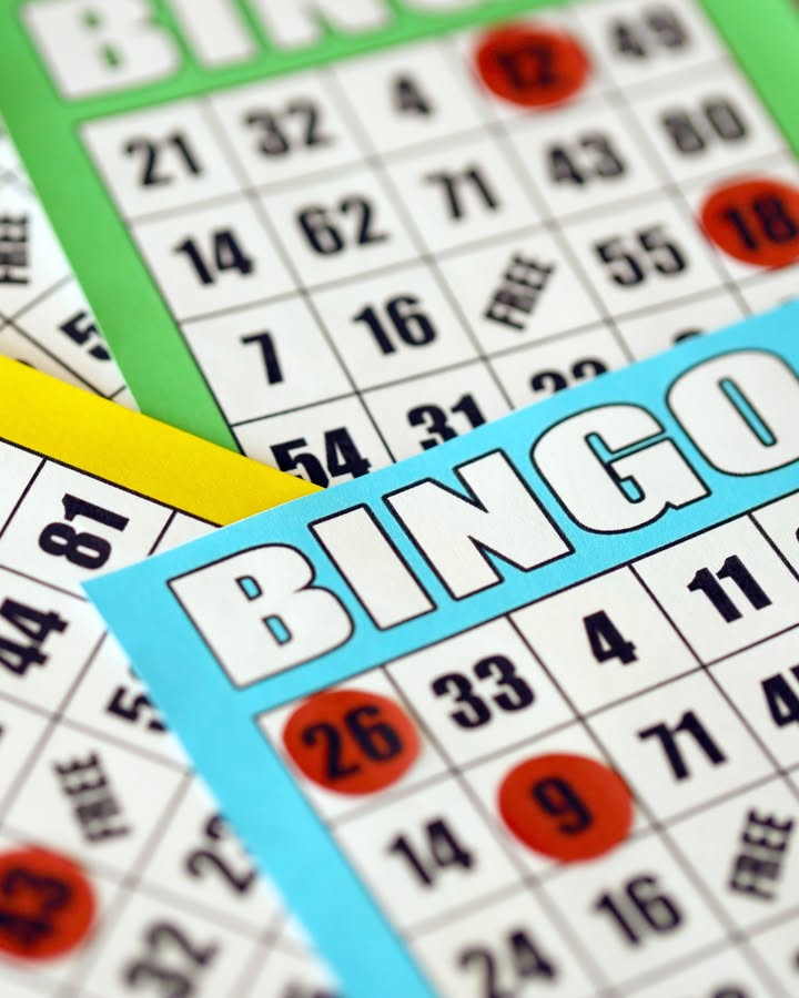 Featured image for “Bonza Bingo & Raffle – 17 Jan at Muswellbrook Workers Club”